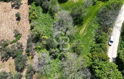 ÇANAKKALE KANGIRLI BAĞ VE ÇİFTLİK EVİ YAPIMINA UYGUN İMARLI ARSA