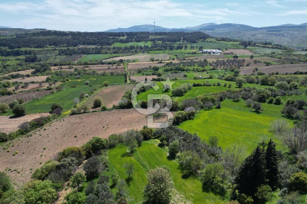ÇANAKKALE KANGIRLI BAĞ VE ÇİFTLİK EVİ YAPIMINA UYGUN İMARLI ARSA