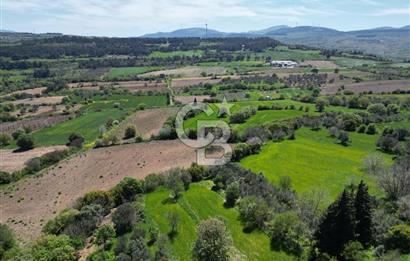 ÇANAKKALE KANGIRLI BAĞ VE ÇİFTLİK EVİ YAPIMINA UYGUN İMARLI ARSA
