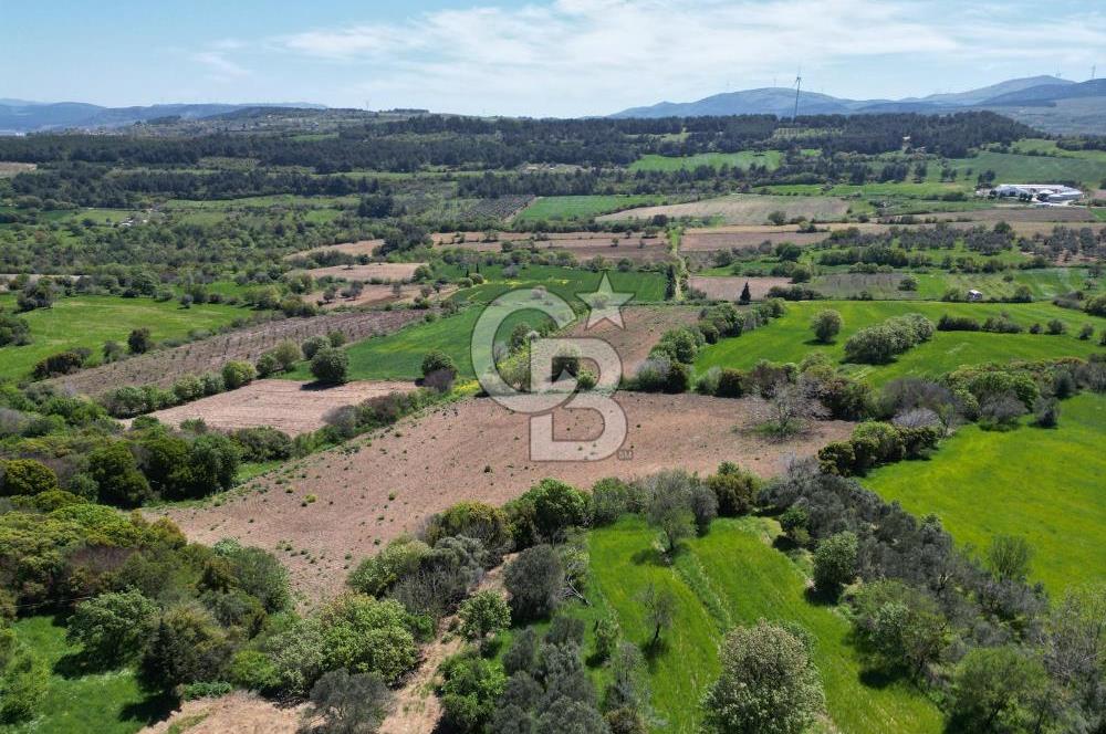 ÇANAKKALE KANGIRLI BAĞ VE ÇİFTLİK EVİ YAPIMINA UYGUN İMARLI ARSA