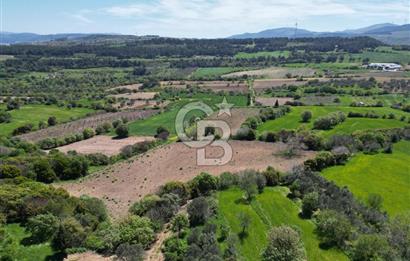 ÇANAKKALE KANGIRLI BAĞ VE ÇİFTLİK EVİ YAPIMINA UYGUN İMARLI ARSA