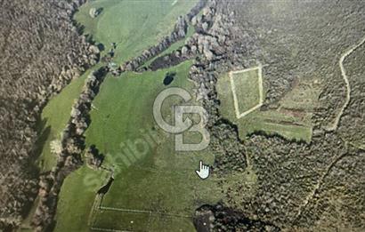 SATILIK ÇATALCA KALFA MAH. 2903 M2 FIRSAT ARAZİ