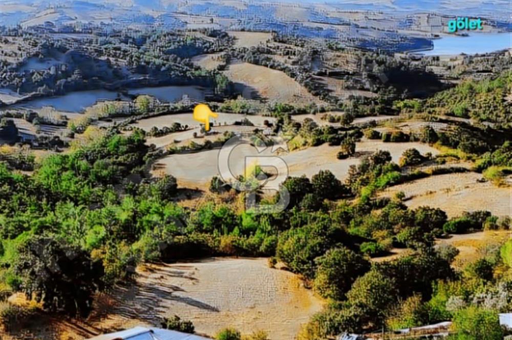 Lapseki/Taştepe'de deniz gören,resmi yolu olan 12.770m² arazi.