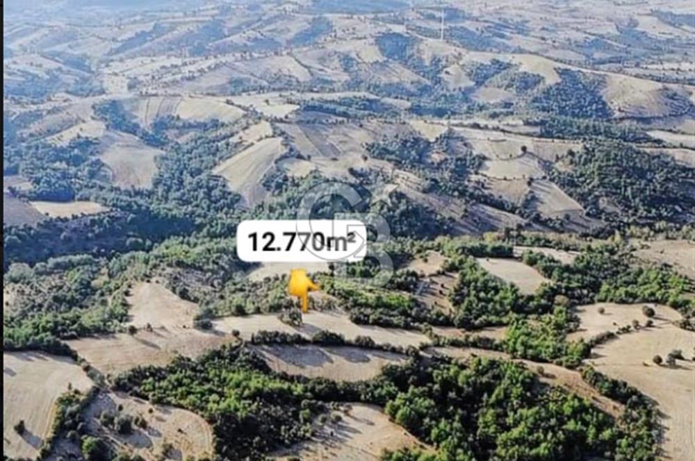 Lapseki/Taştepe'de deniz gören,resmi yolu olan 12.770m² arazi.