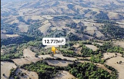 Lapseki/Taştepe'de deniz gören,resmi yolu olan 12.770m² arazi.