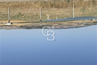 GÖLBAŞI BEGONVİL HOBİ BAHÇELERİNDE SATILIK HOBİ BAHÇESİ - 8 - 218627