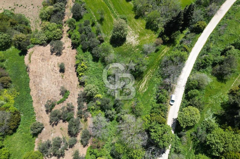 ÇANAKKALE KANGIRLI BAĞ VE ÇİFTLİK EVİ YAPIMINA UYGUN İMARLI ARSA