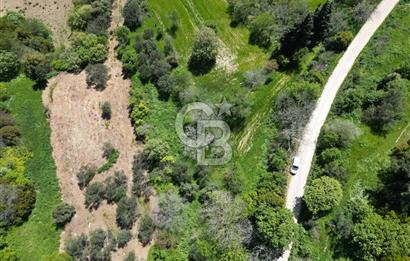 ÇANAKKALE KANGIRLI BAĞ VE ÇİFTLİK EVİ YAPIMINA UYGUN İMARLI ARSA