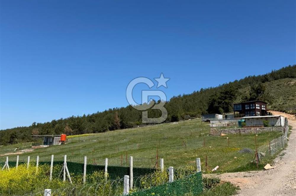 KEMALPAŞA DAMLACIK SATILIK TARLA