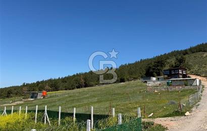 KEMALPAŞA DAMLACIK SATILIK TARLA