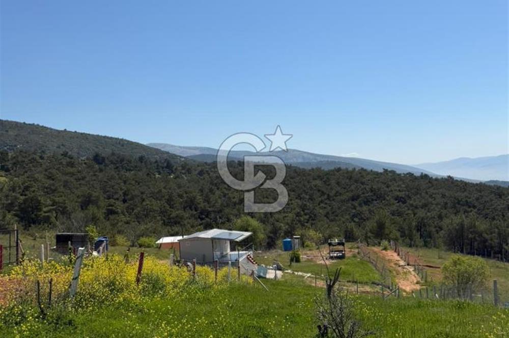 KEMALPAŞA DAMLACIK SATILIK TARLA