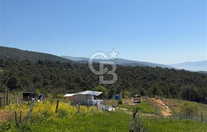 KEMALPAŞA DAMLACIK SATILIK TARLA