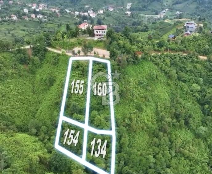 Ardeşen Yeniyol'da Deniz Manzaralı Satılık Bahçe