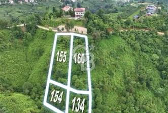 Ardeşen Yeniyol'da Deniz Manzaralı Satılık Bahçe - 10 - 346627