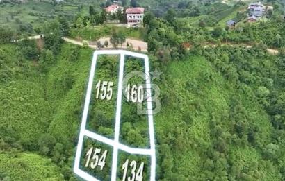 Ardeşen Yeniyol'da Deniz Manzaralı Satılık Bahçe
