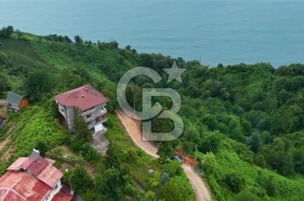 Rize Ardeşen de denize sıfır 2 parsel satılık bahçe 