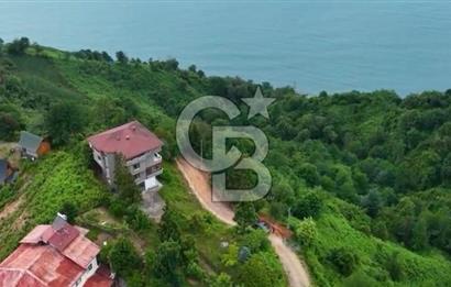 Rize Ardeşen de denize sıfır 2 parsel satılık bahçe 