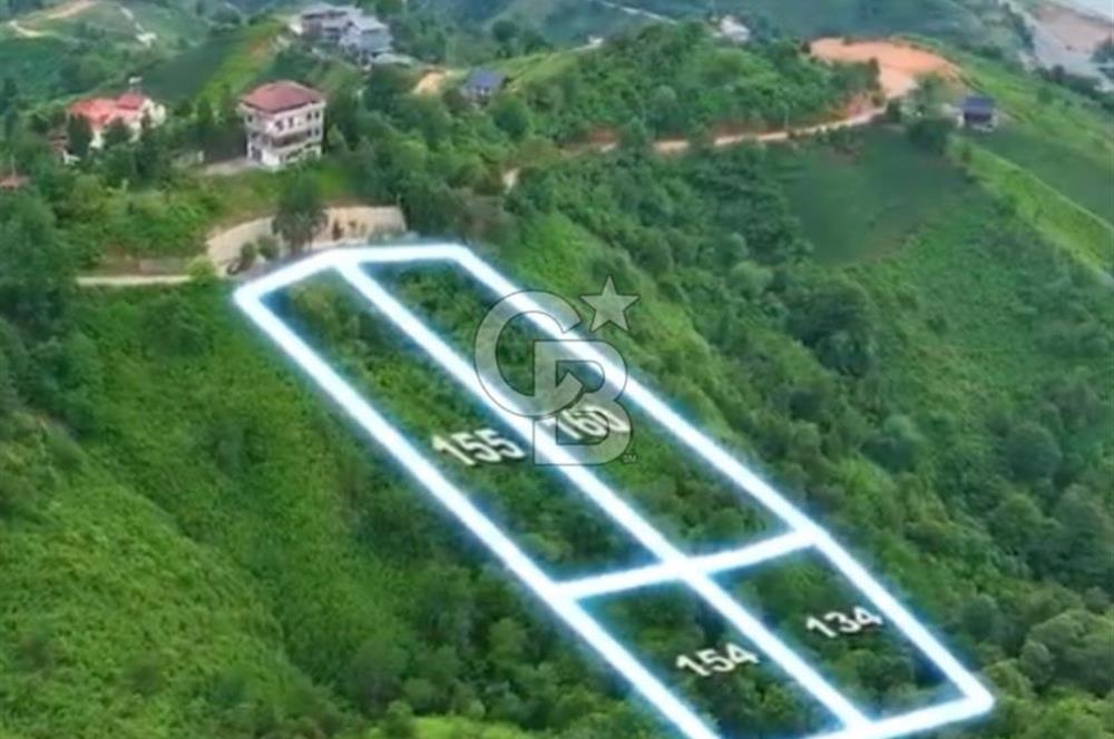 Rize Ardeşen de denize sıfır 2 parsel satılık bahçe 