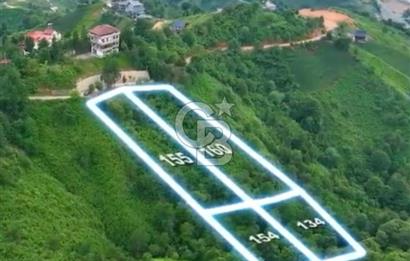 Rize Ardeşen de denize sıfır 2 parsel satılık bahçe 