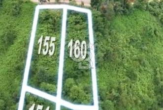 Rize Ardeşen de denize sıfır 2 parsel satılık bahçe  - 6 - 346634