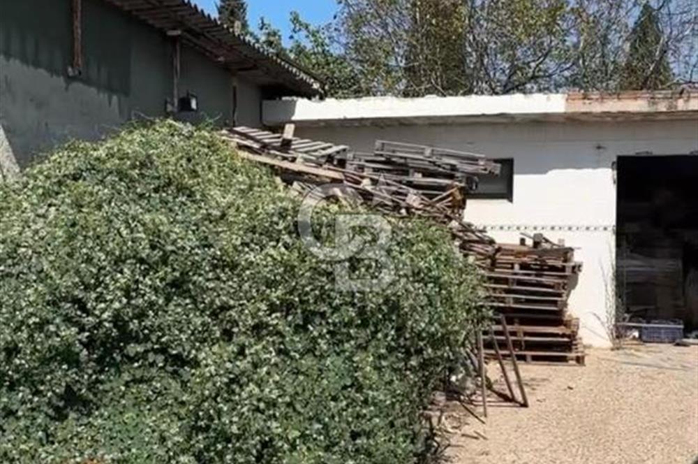 TORBALI YAZIBAŞI KUŞÇUBURUN'DA MERKEZİ LOKASYON'DA KİRALIK DEPO