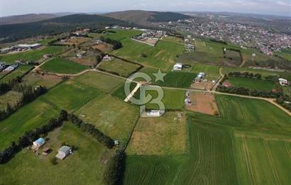 ÇATALCA KESTANELİK BAĞLAR BÖLGEDİNDE TEK TAPU YOLA CEPHE