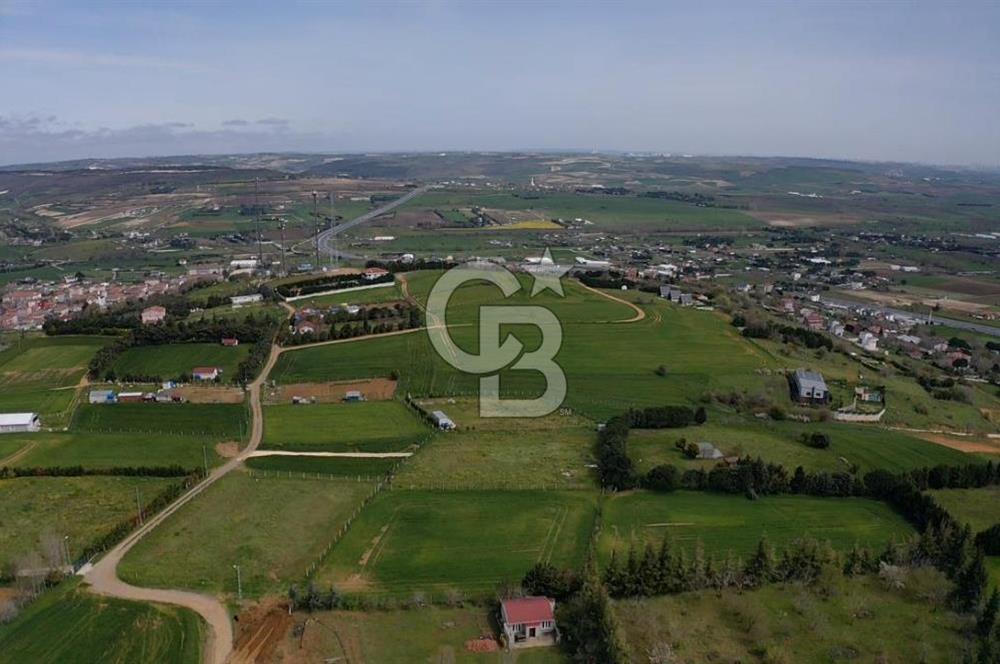 ÇATALCA KESTANELİK BAĞLAR BÖLGEDİNDE TEK TAPU YOLA CEPHE