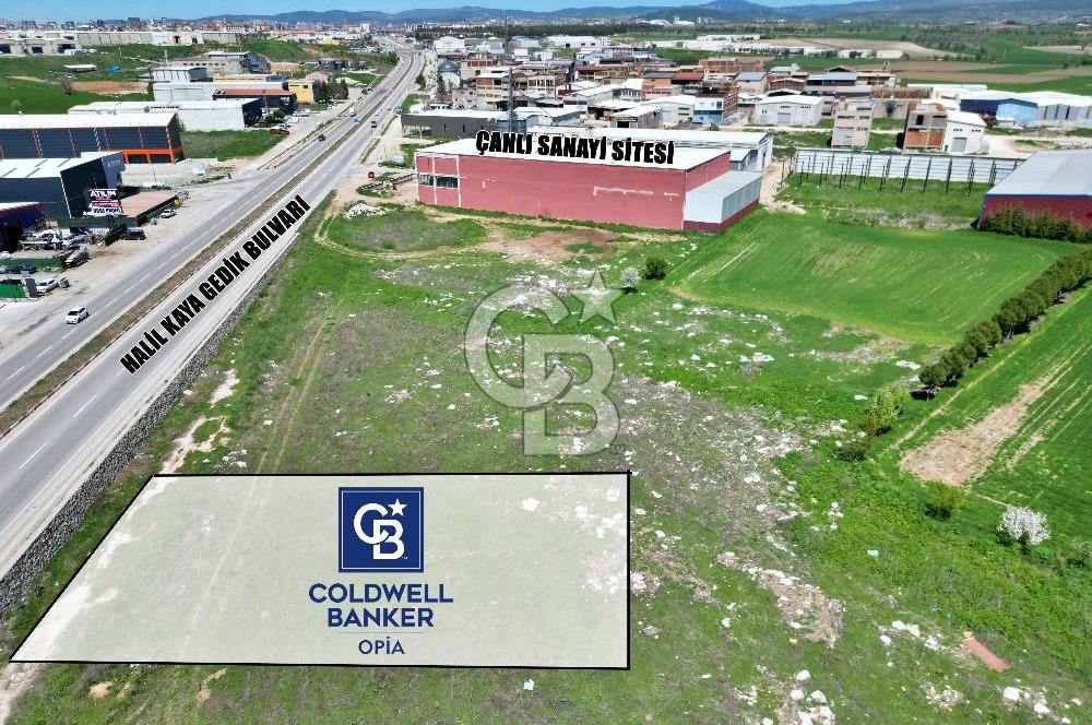 CB OPİA'DAN '' ÇANLI'DA ASFALT YOLA CEPHE 1.022 ARSA ''