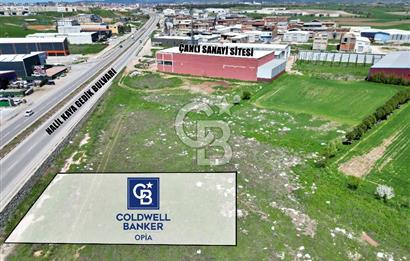 CB OPİA'DAN '' ÇANLI'DA ASFALT YOLA CEPHE 1.022 ARSA ''