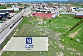 CB OPİA'DAN '' ÇANLI'DA ASFALT YOLA CEPHE 1.022 ARSA '' - 10 - 346665