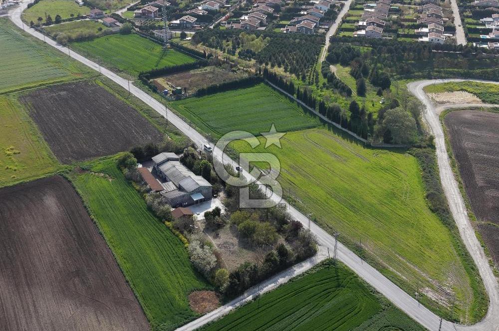 Büyükçekmece Karaağaç Satılık 3.250 M2 Villa İmarlı Arsa