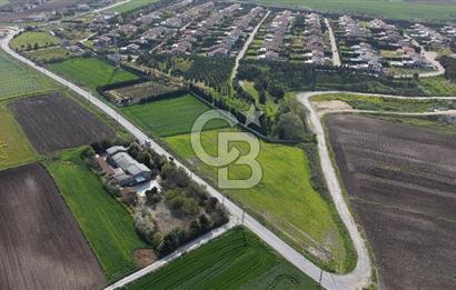 Büyükçekmece Karaağaç Satılık 3.250 M2 Villa İmarlı Arsa