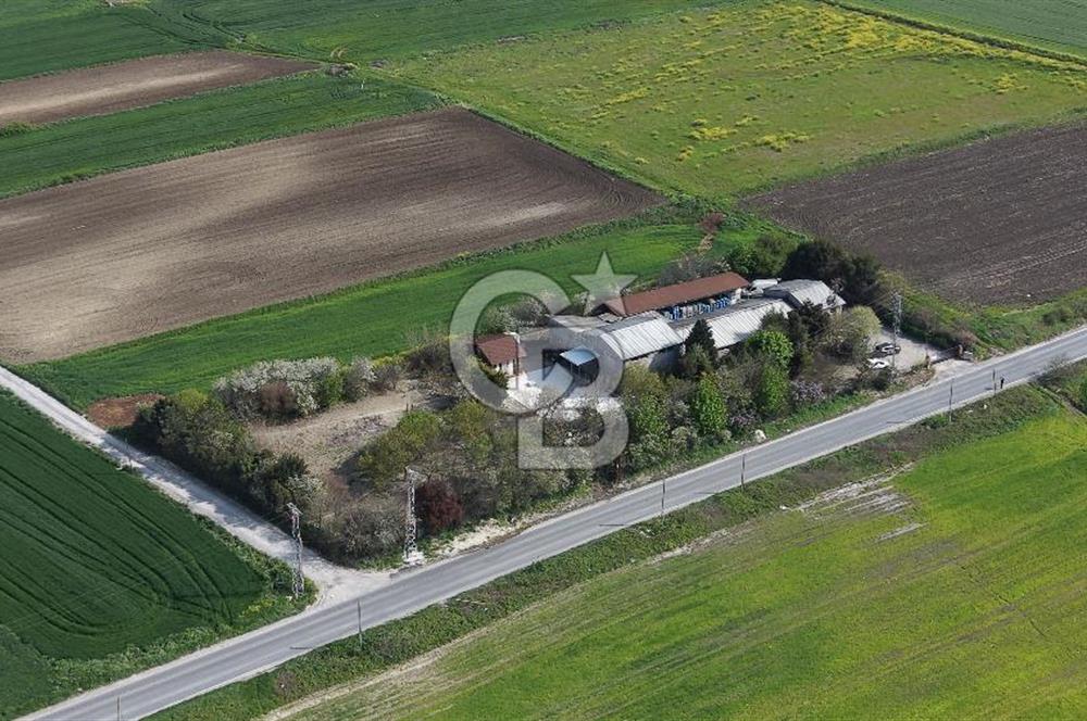 Büyükçekmece Karaağaç Satılık 3.250 M2 Villa İmarlı Arsa