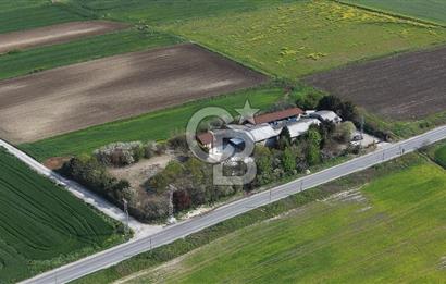 Büyükçekmece Karaağaç Satılık 3.250 M2 Villa İmarlı Arsa