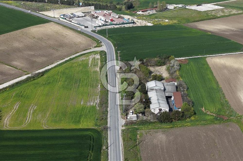 Büyükçekmece Karaağaç Satılık 3.250 M2 Villa İmarlı Arsa