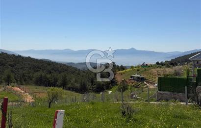 KEMALPAŞA DAMLACIK SATILIK TARLA