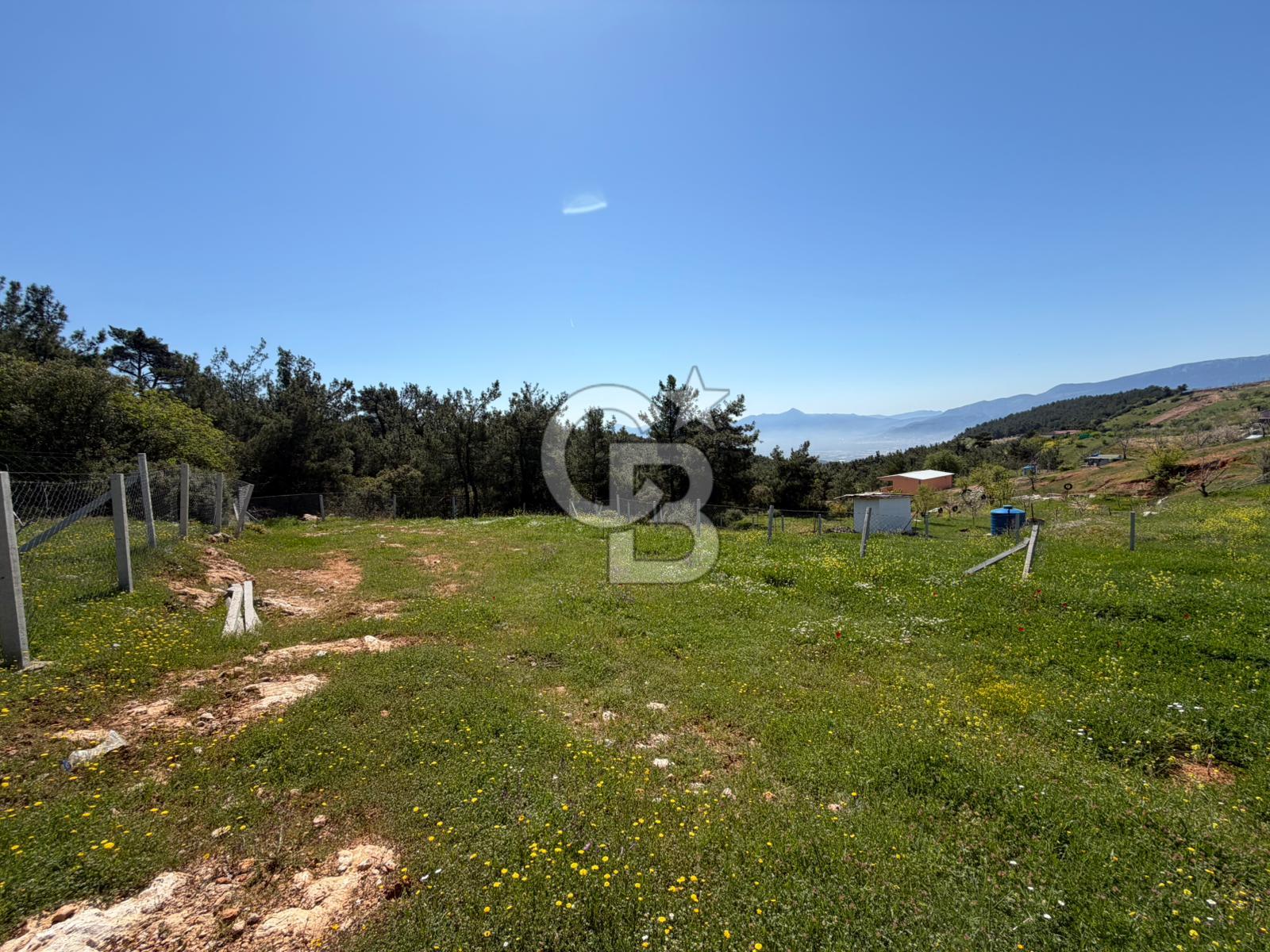 İZMİR KEMALPAŞA DAMLACIKTA SATILIK TARLA 420 M2