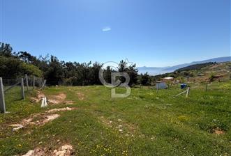 İZMİR KEMALPAŞA DAMLACIKTA SATILIK TARLA 420 M2 - 3 - 346645