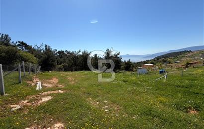 İZMİR KEMALPAŞA DAMLACIKTA SATILIK TARLA 420 M2