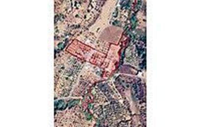 İzmir Kemalpaşada Satılık Büyük Metraj Zeytinli Tarla 11.163 m²