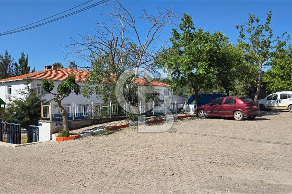 SEFERİHİSAR ORHANLI- 3 DÖNÜME YAKIN ZEYTİNLİ TARLA -SATILIK