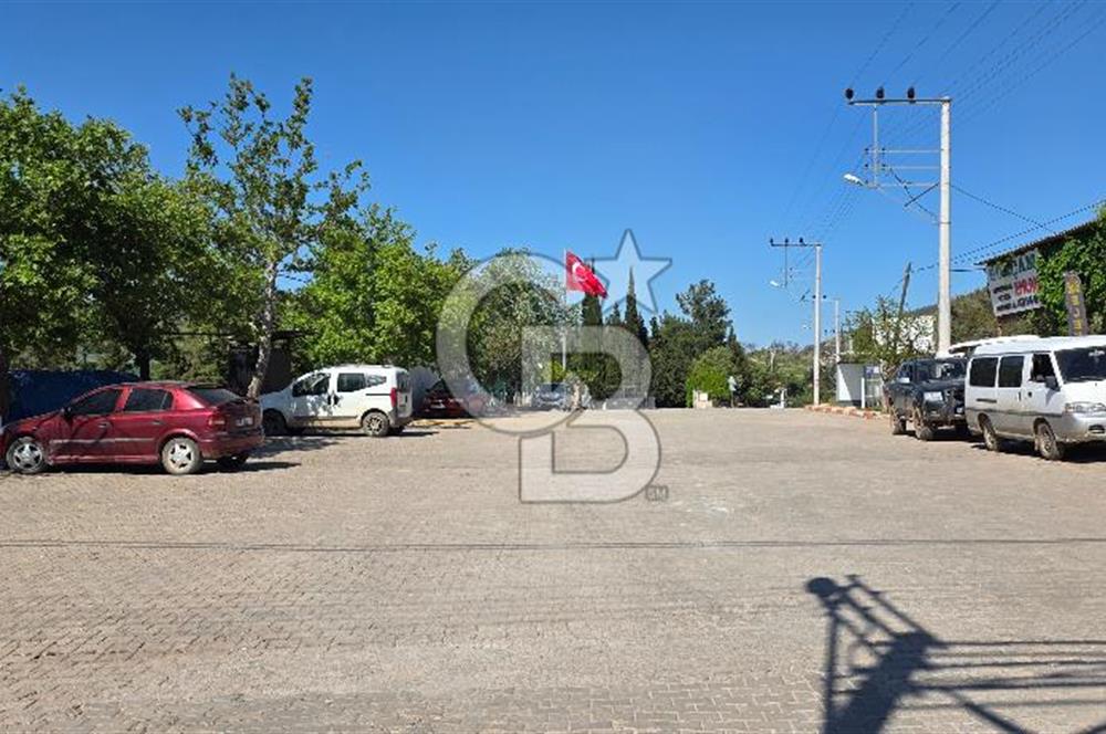 SEFERİHİSAR ORHANLI- 3 DÖNÜME YAKIN ZEYTİNLİ TARLA -SATILIK