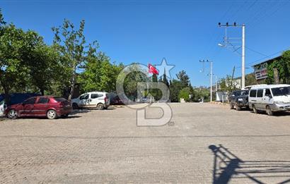 SEFERİHİSAR ORHANLI- 3 DÖNÜME YAKIN ZEYTİNLİ TARLA -SATILIK