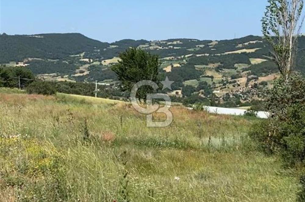 SAKARYA TARAKLI İÇDEDELER KÖYÜ’NDE 1556 m2 TARLA