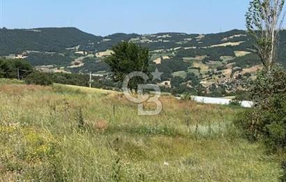 SAKARYA TARAKLI İÇDEDELER KÖYÜ’NDE 1556 m2 TARLA