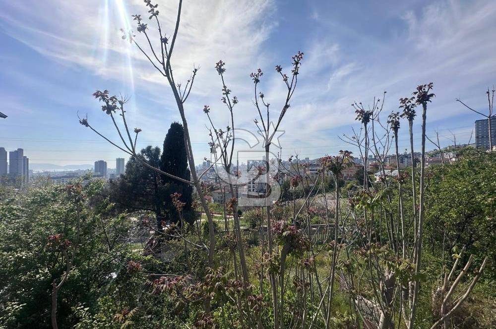 KARTAL YAKACIK 414 M2 ARSA