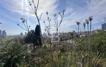 KARTAL YAKACIK 414 M2 ARSA