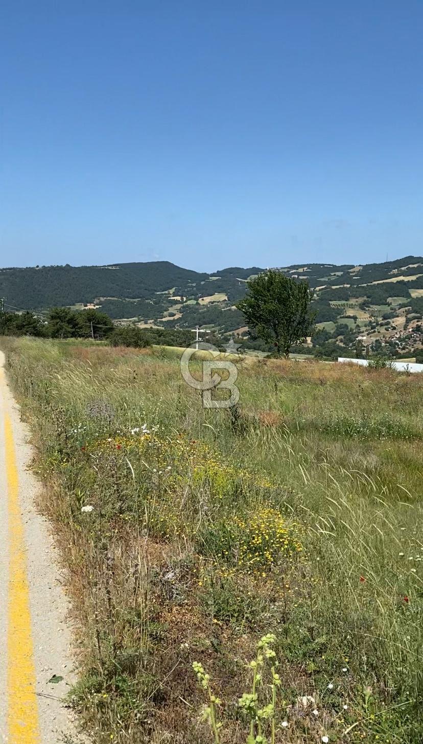 SAKARYA TARAKLI İÇDEDELER KÖYÜ’NDE 1556 m2 TARLA
