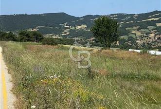 SAKARYA TARAKLI İÇDEDELER KÖYÜ’NDE 1556 m2 TARLA - 8 - 346705