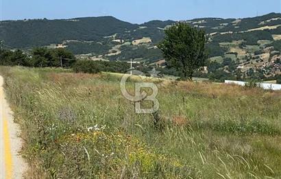 SAKARYA TARAKLI İÇDEDELER KÖYÜ’NDE 1556 m2 TARLA